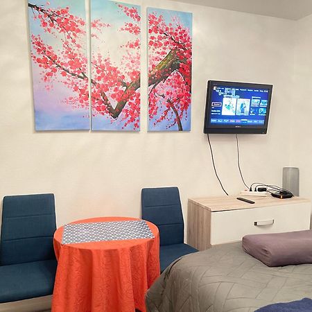 Top Studio Full Optional Saint Louis Vicino Stazione Saint Louis 68300 France מראה חיצוני תמונה