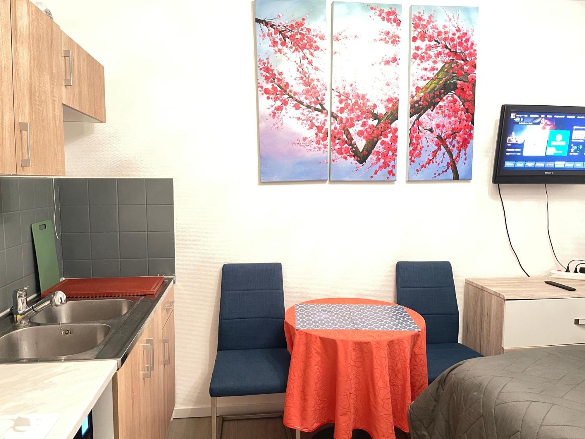 Top Studio Full Optional Saint Louis Vicino Stazione Saint Louis 68300 France מראה חיצוני תמונה