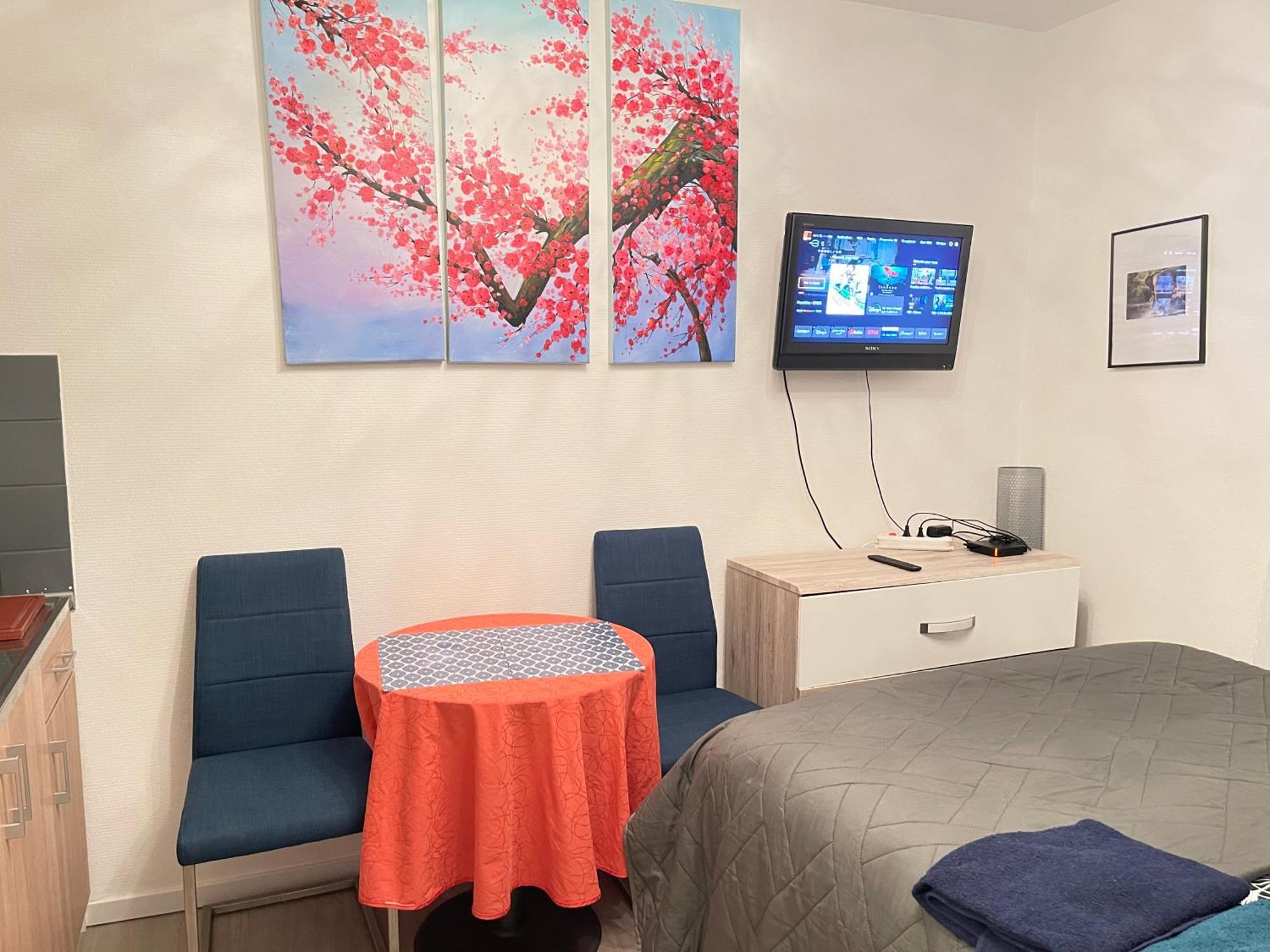 Top Studio Full Optional Saint Louis Vicino Stazione Saint Louis 68300 France מראה חיצוני תמונה